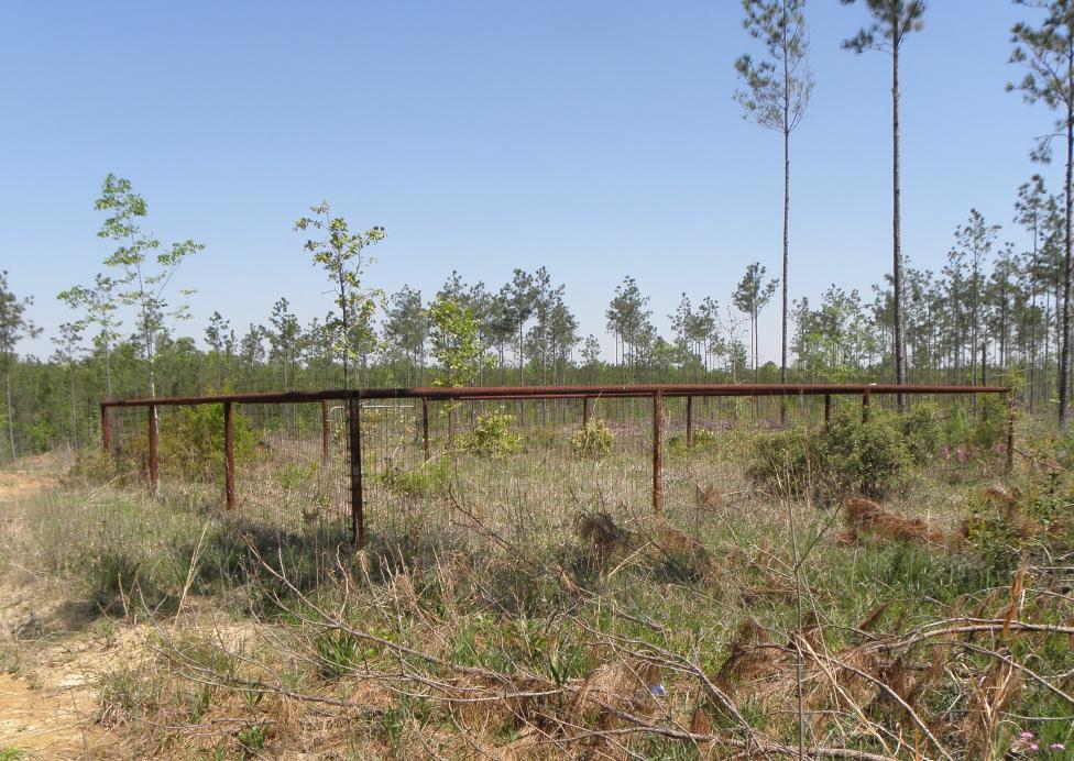 Old New Union Cemetery Fence